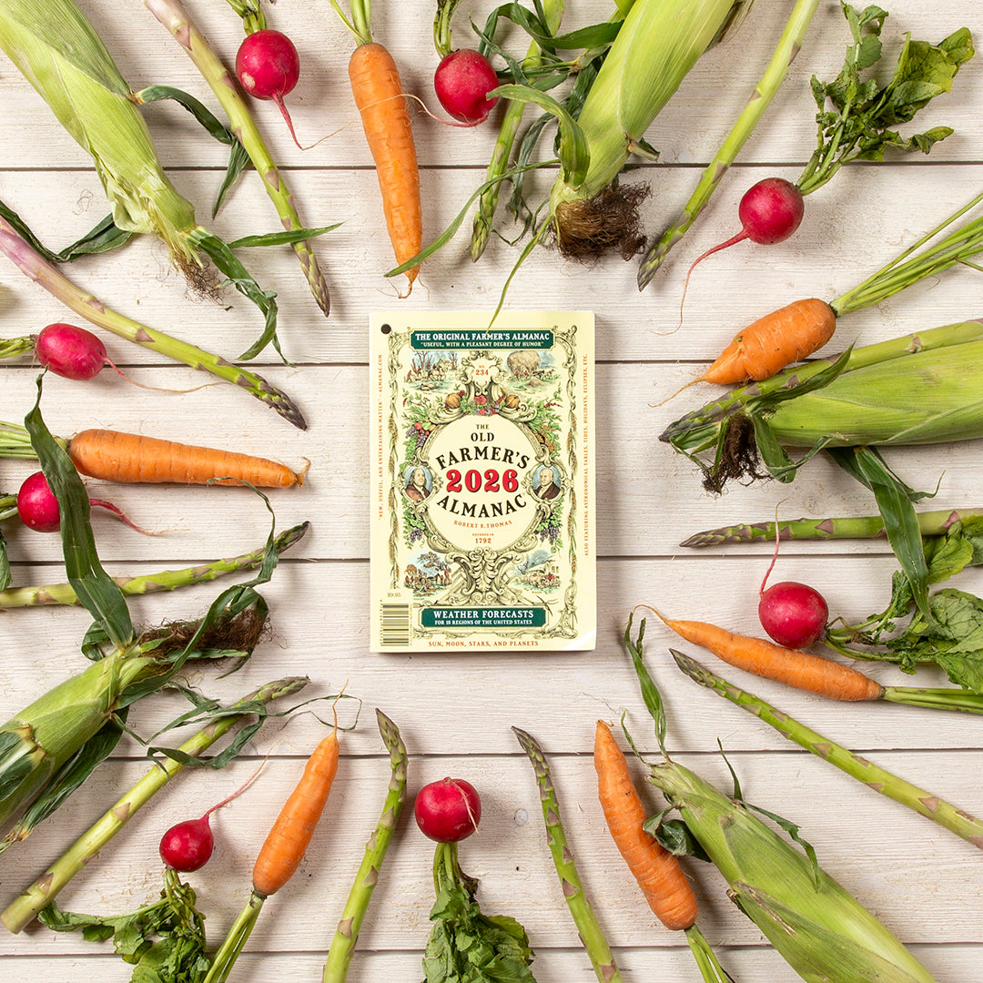 Gift Guide: Old Farmer's Favorites