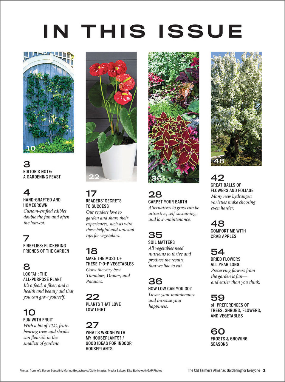 Gardening for Everyone - Volume 3