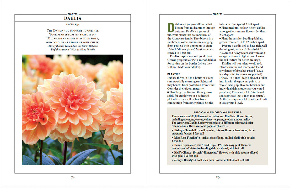 Flower Gardener’s Handbook - eBook