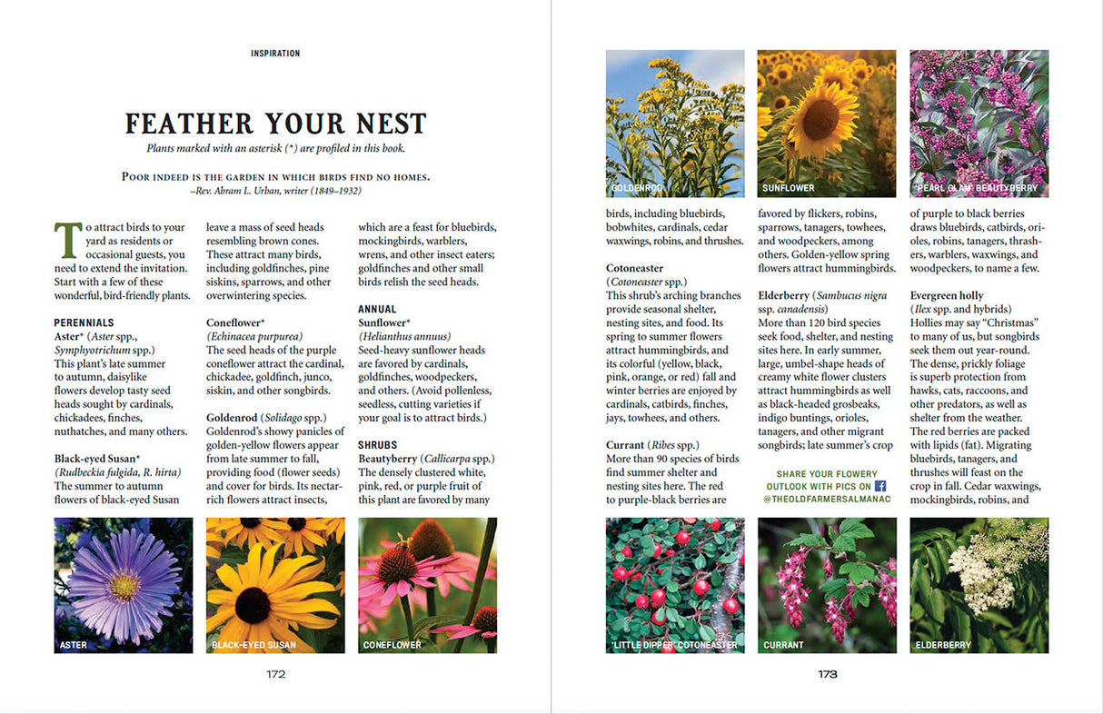 Flower Gardener’s Handbook