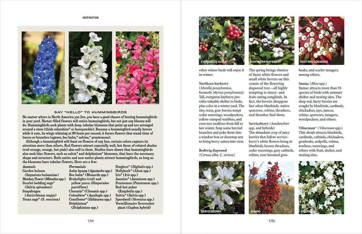 Flower Gardener’s Handbook - eBook