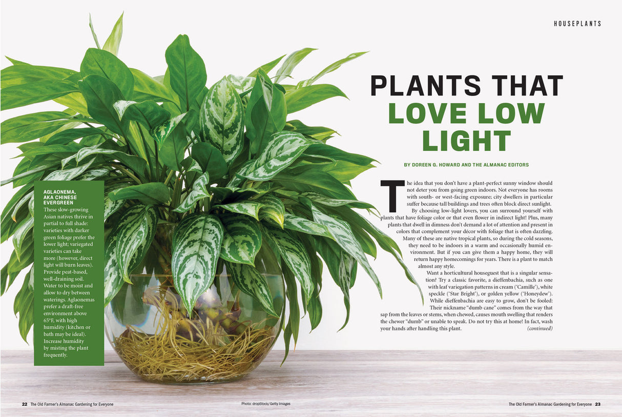 Gardening for Everyone - Volume 3