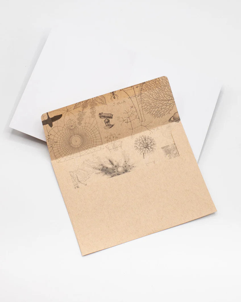 a kraft envelope open to reveal science themed print inside of the envelope