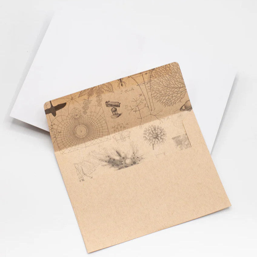 a kraft envelope open to reveal science themed print inside of the envelope
