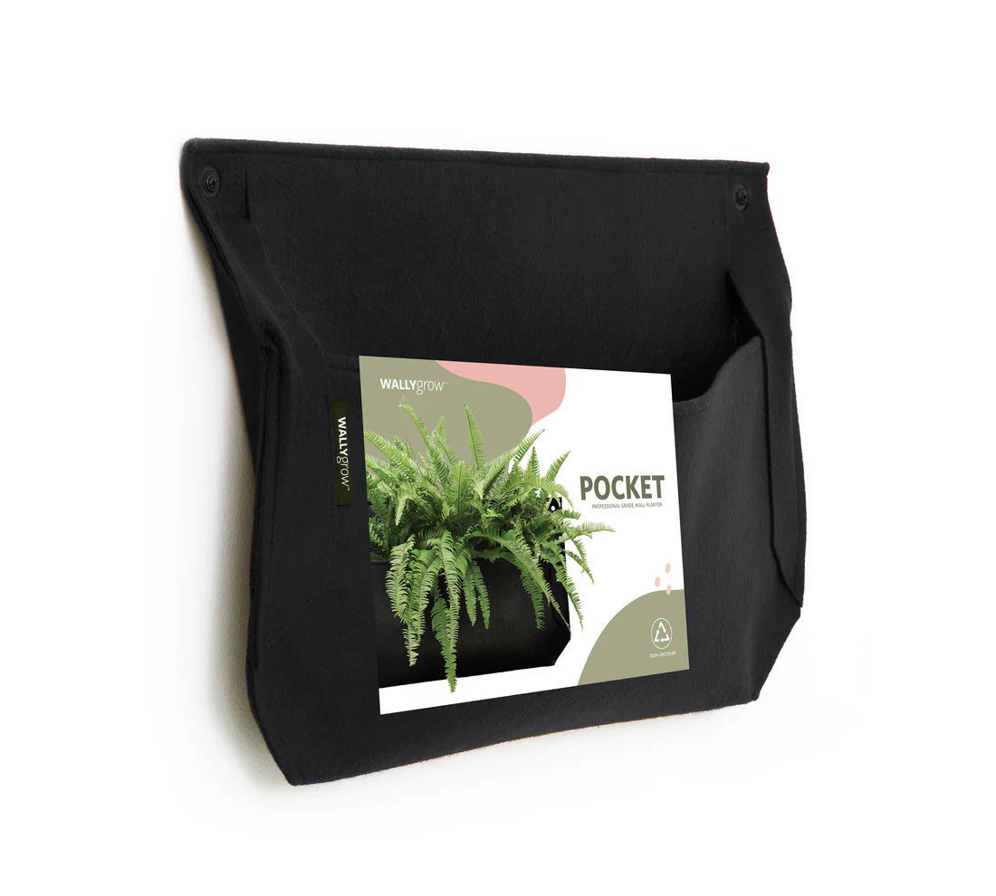 the one pocket wall planter shown at a slight angle to give a feel for the width of the planter in space