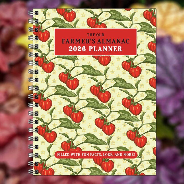 The Old Farmer's Almanac 2026 spiral bound planner notebook with repeated tomato on the vine illustration on a light yellow cover