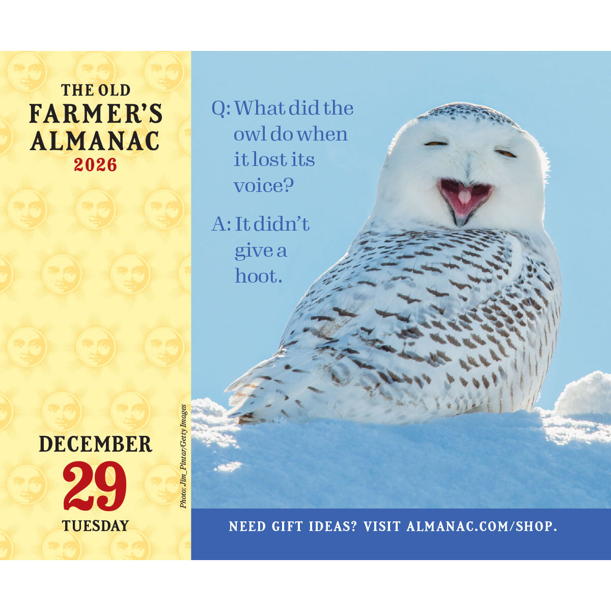 the December 29th page for the Everyday calendar featuring a humorous snowy owl photo with a joke caption: "Q: What did the owl do when it lost its voice? A: It didn't give a hoot"