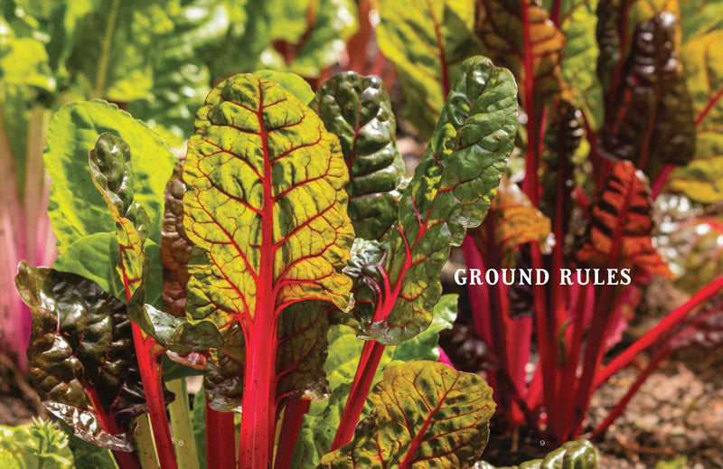 Close-up of colorful leafy vegetables with red stems.