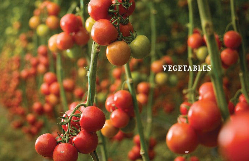 Close-up of ripe red tomatoes on a vine.