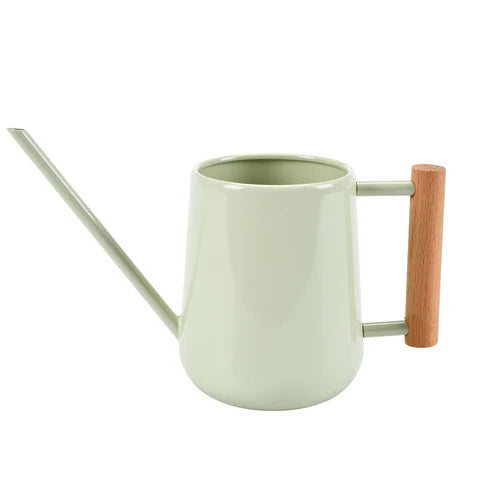 Indoor Watering Can