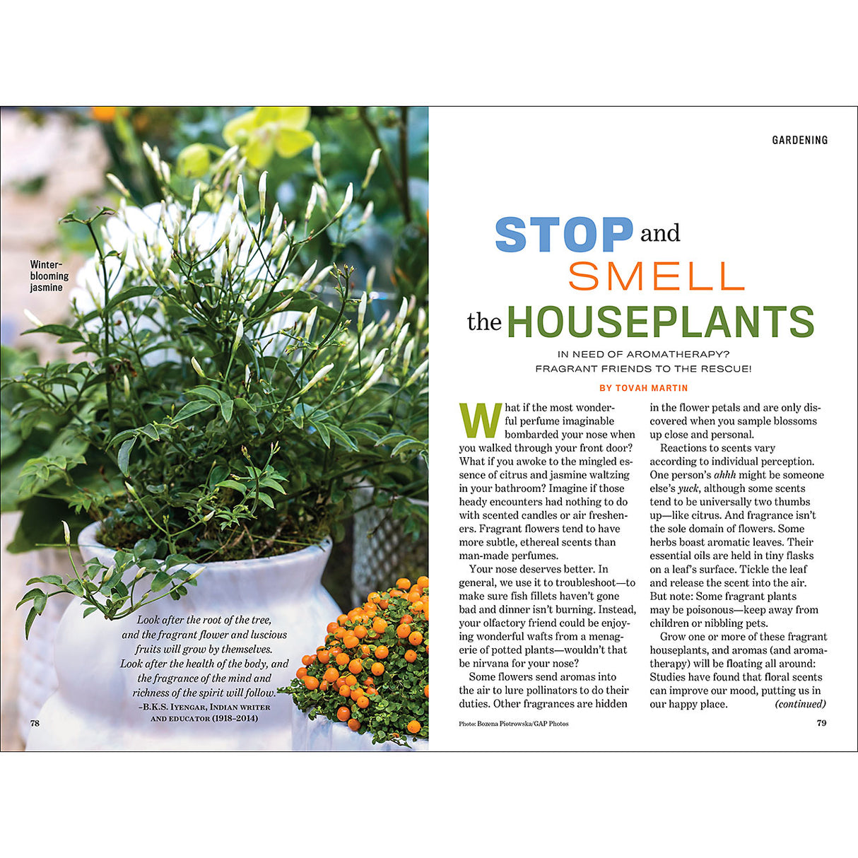 Online Edition - 2026  - The Old Farmer's Almanac