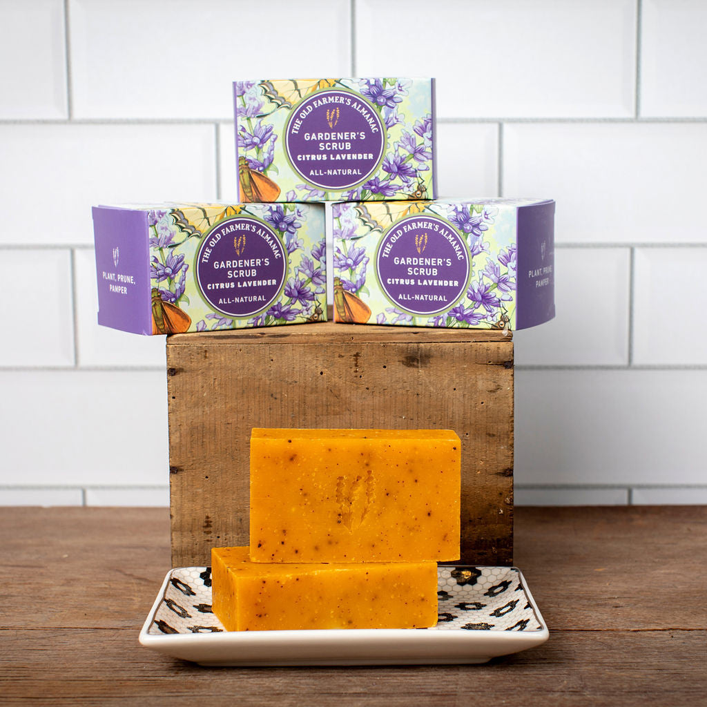 Scrubbing hand soap made for gardeners.