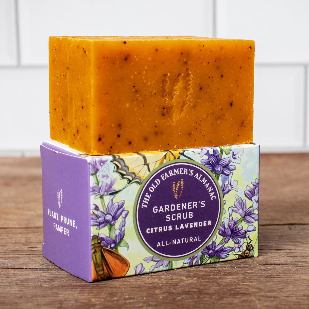 Gardener's Scrub - 2 Bar Gift Box