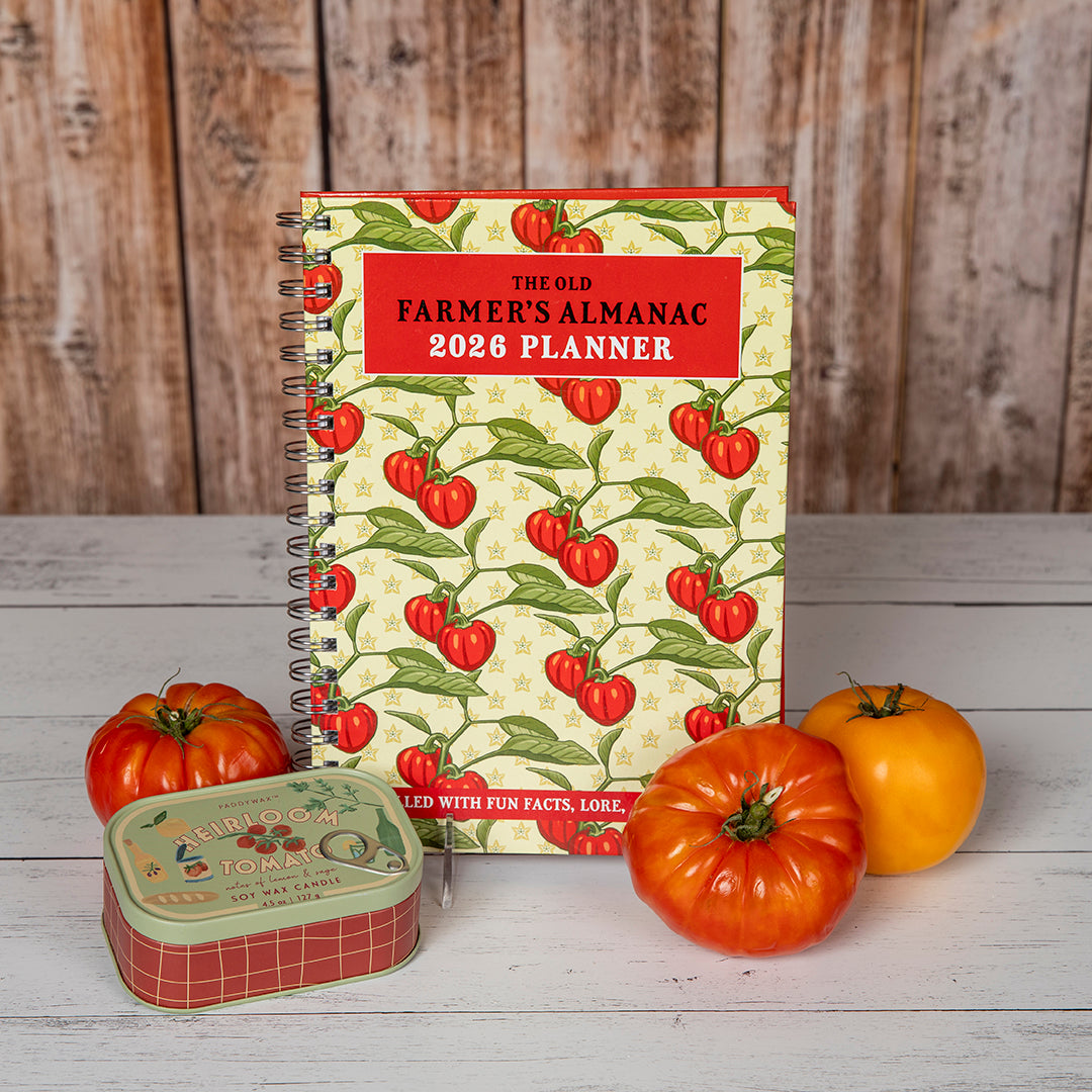 Tomato Lovers Bundle