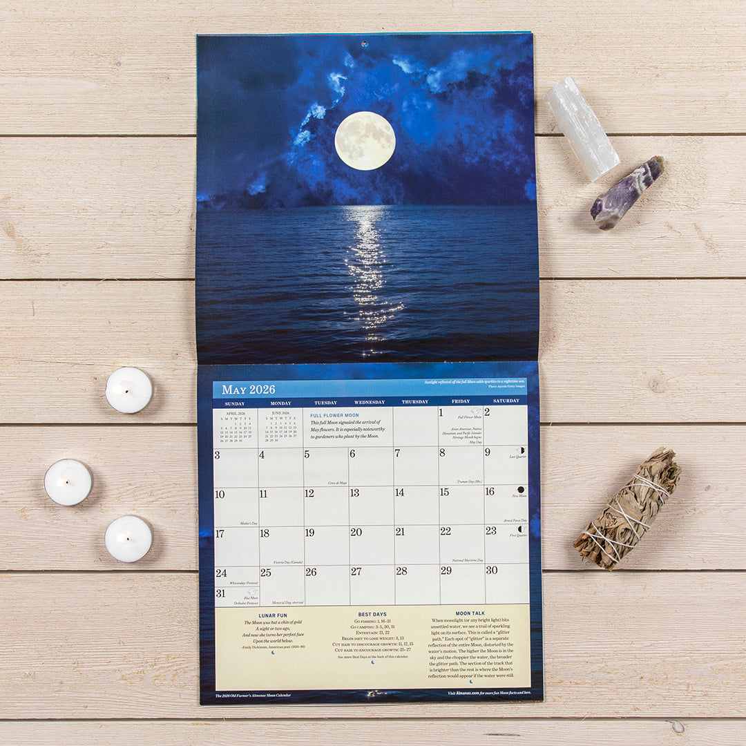 The Stargazer Bundle