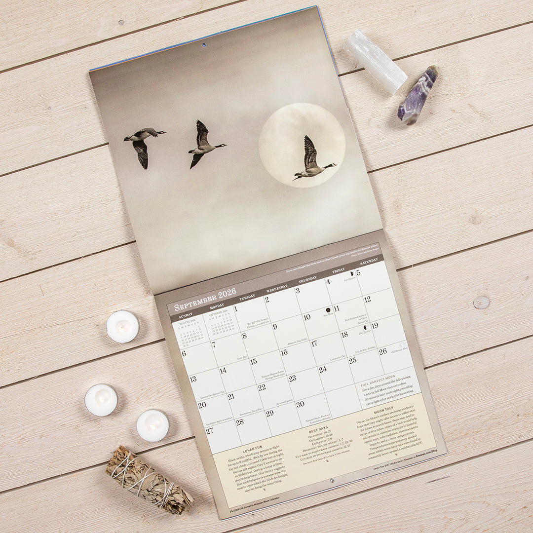 The Stargazer Bundle