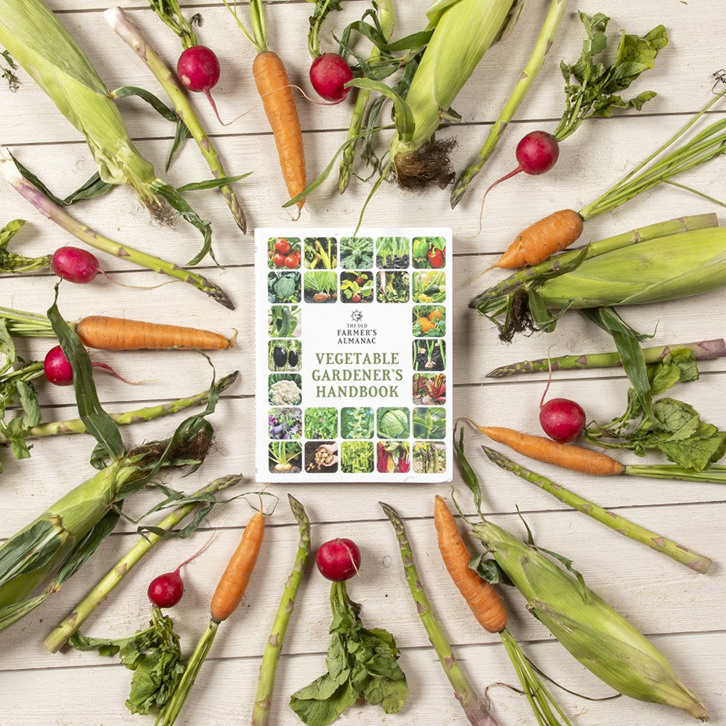 Book titled 'The Vegetable Gardener's Handbook' surrounded by fresh vegetables on a wooden surface.