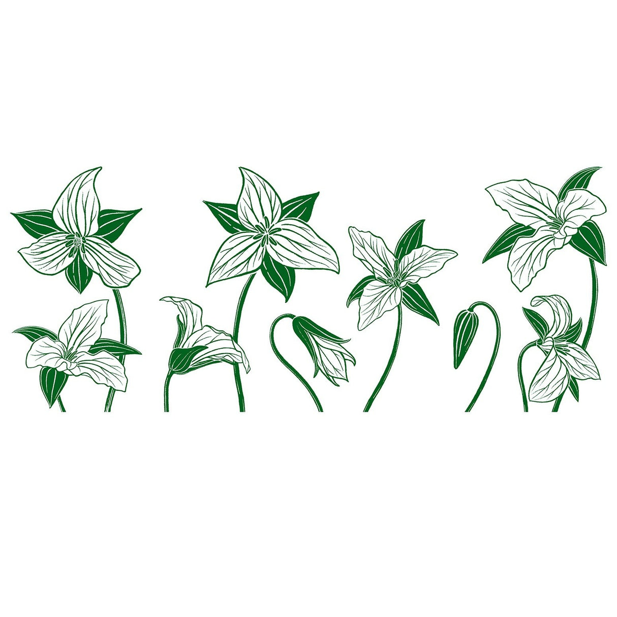 Vintage 16 oz Glass - Trillium