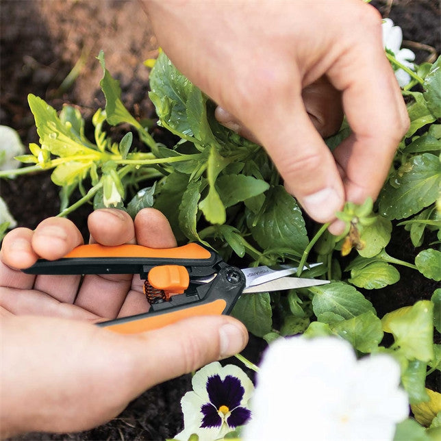 Micro-Tip Pruning Snips