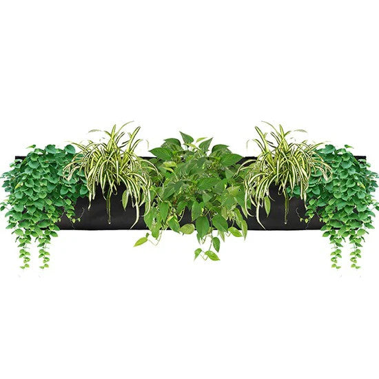 the 3 pocket wall planter filled with plants that have grown to drape over the front of the pocket against a white background