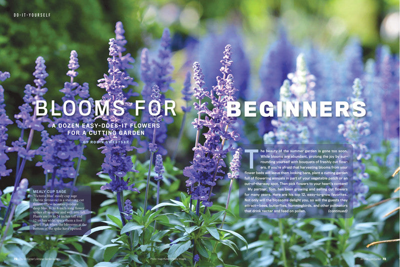 a close up of purple plants with the text "Blooms for Beginners"