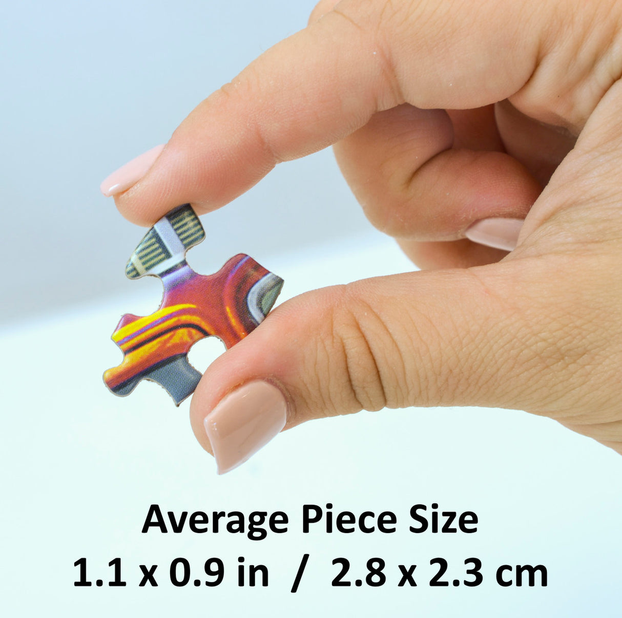 The Moon - 1000 Piece Puzzle