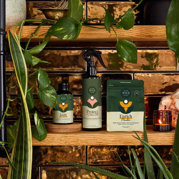 the 3 products in the houseplant care kit on a wooden shelf surrounded by leafy green plants