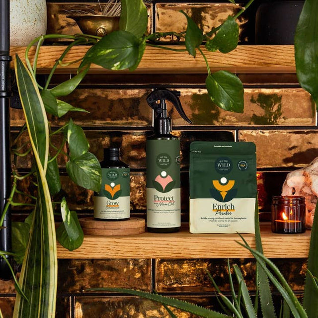 the 3 products in the houseplant care kit on a wooden shelf surrounded by leafy green plants