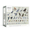 Sibley Backyard Birding puzzle box with bird illustrations on a white background