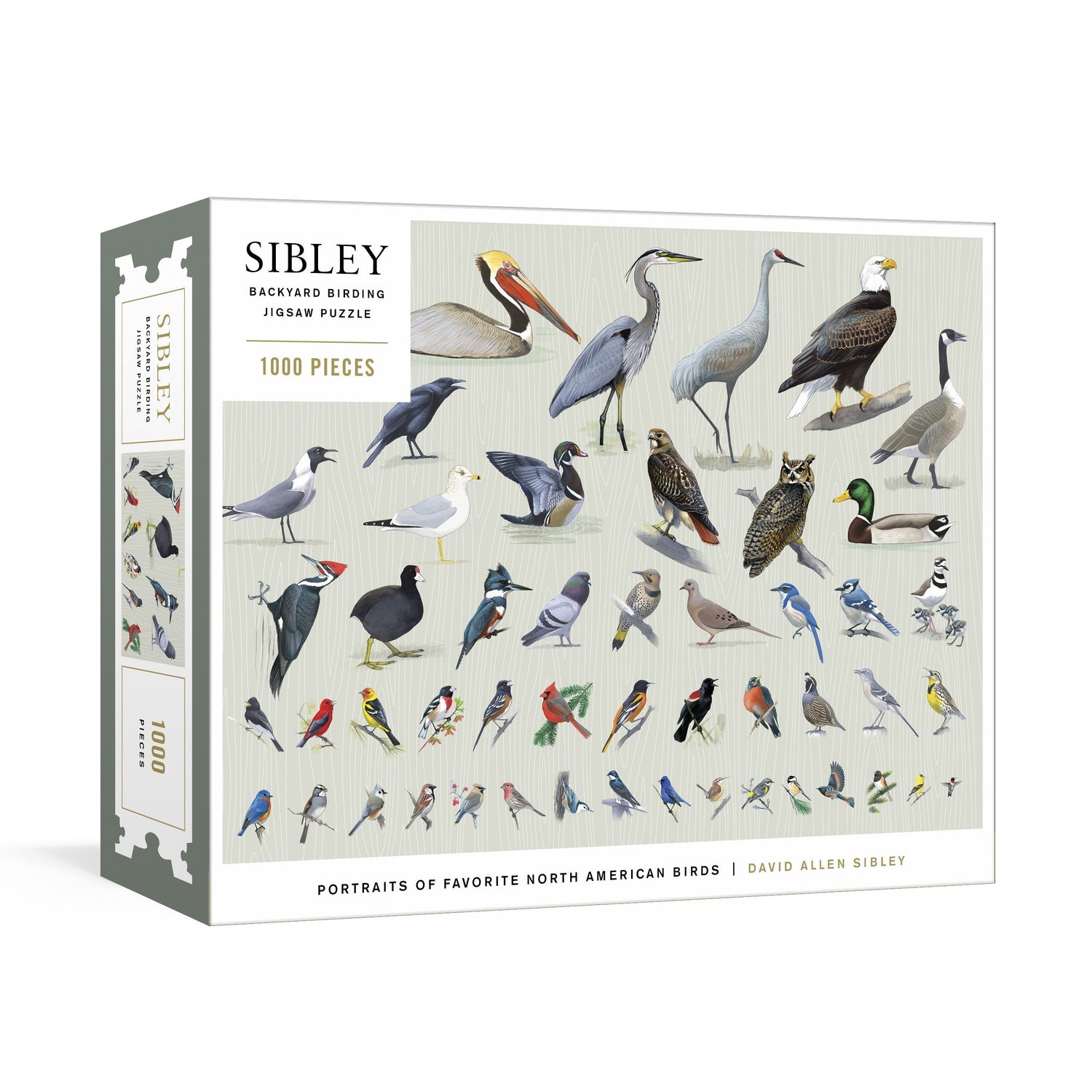 Sibley Backyard Birding puzzle box with bird illustrations on a white background