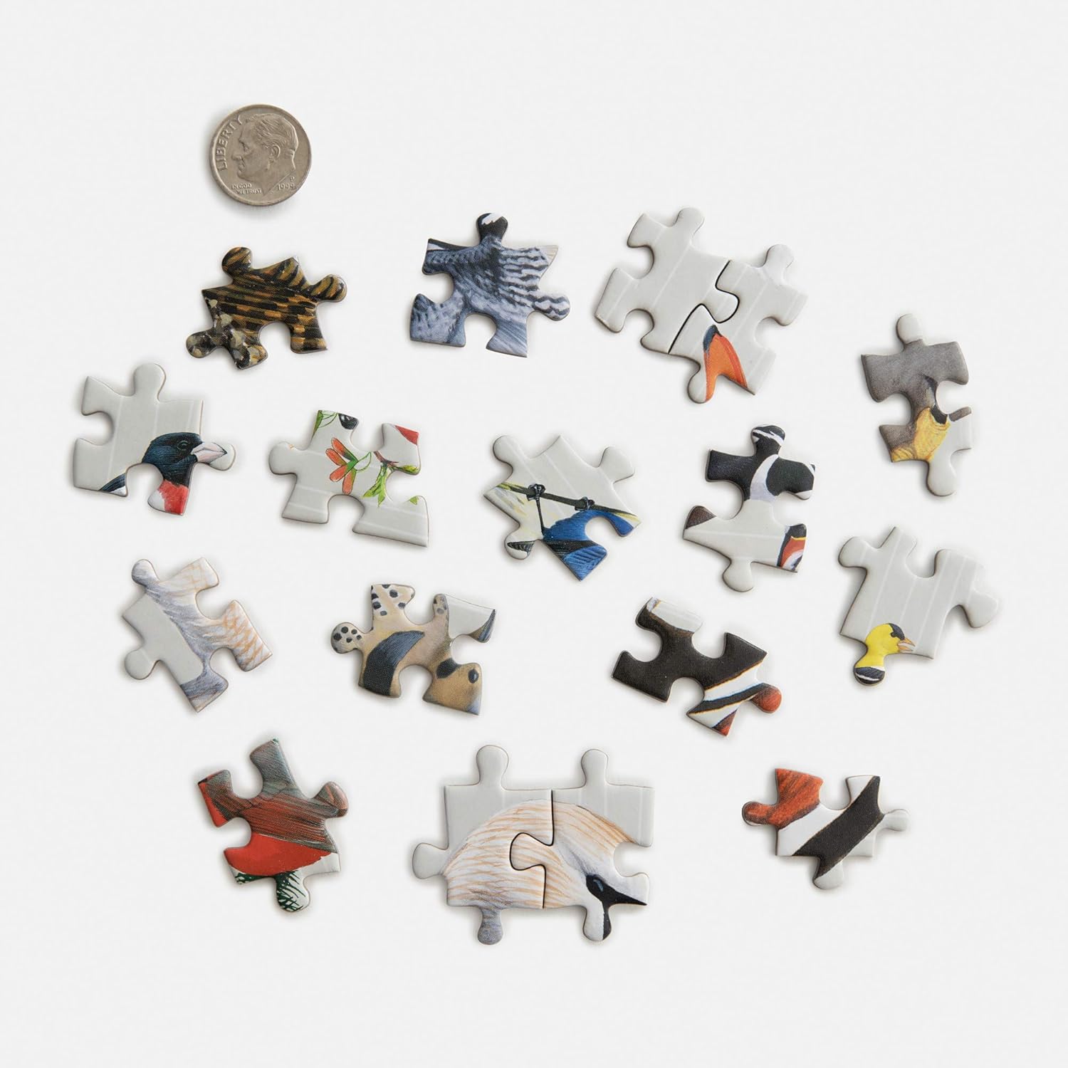 Set of puzzle pieces with bird illustrations next to a dime for scale on a white background