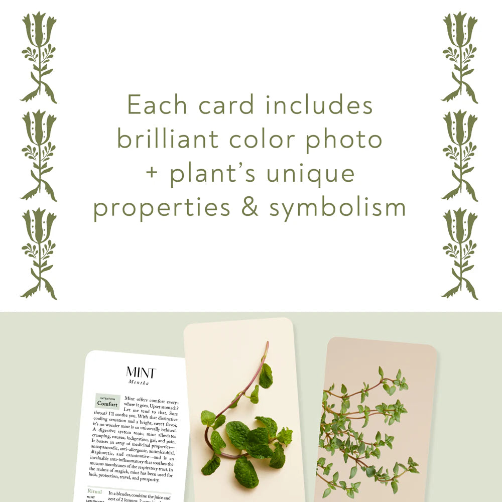 text that reads "each card includes brilliant color photo and plant's unique properties and symbolism" above the mint car and other herb cards