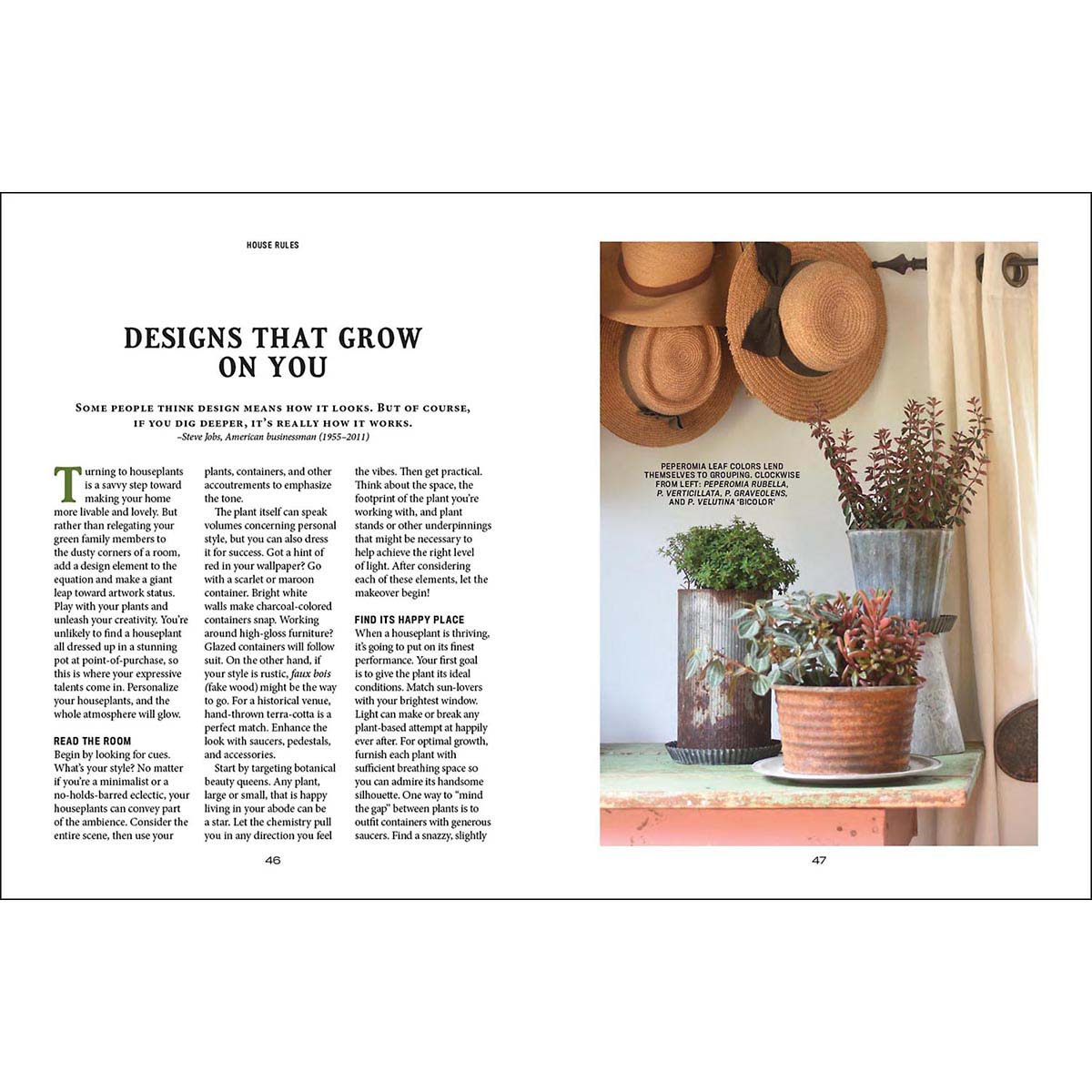 Houseplant Gardener’s Handbook