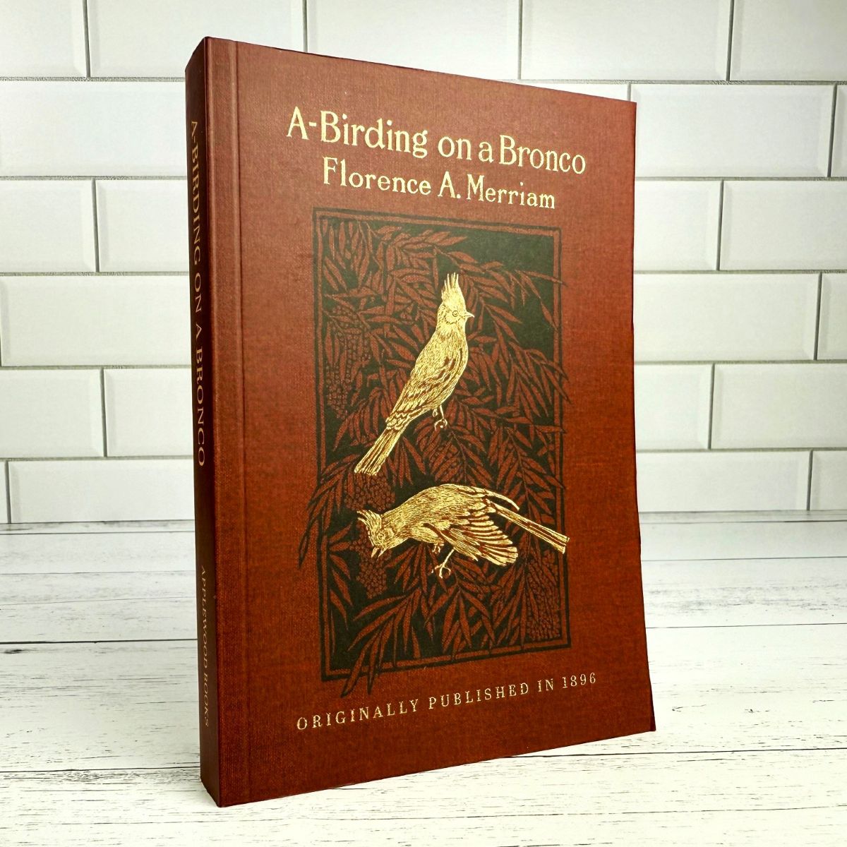 A-Birding on a Bronco