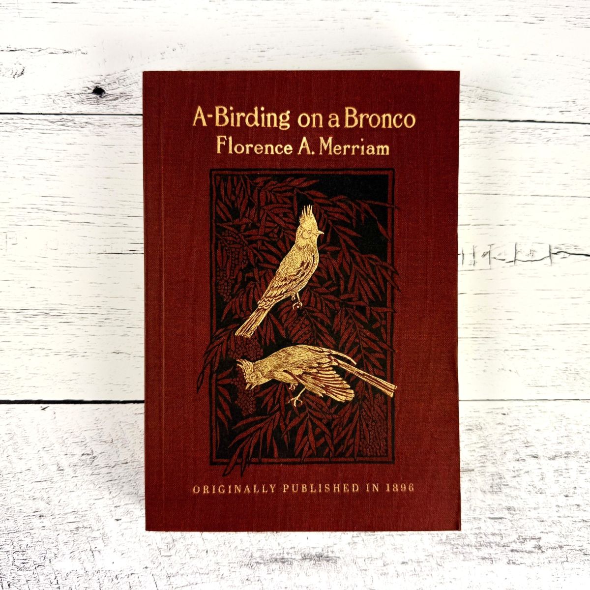 A-Birding on a Bronco