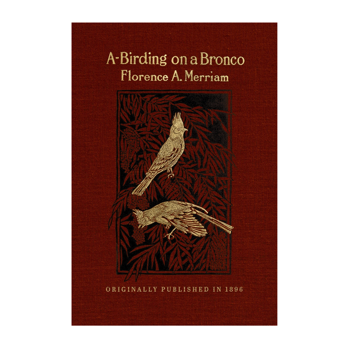 A-Birding on a Bronco