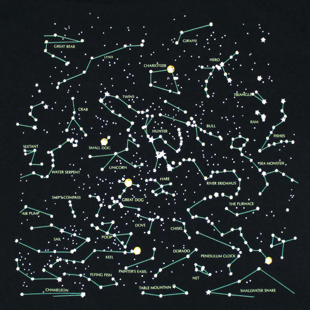 a close up of the illustration on the back of the Heavenly Bodies tee featuring more constellations