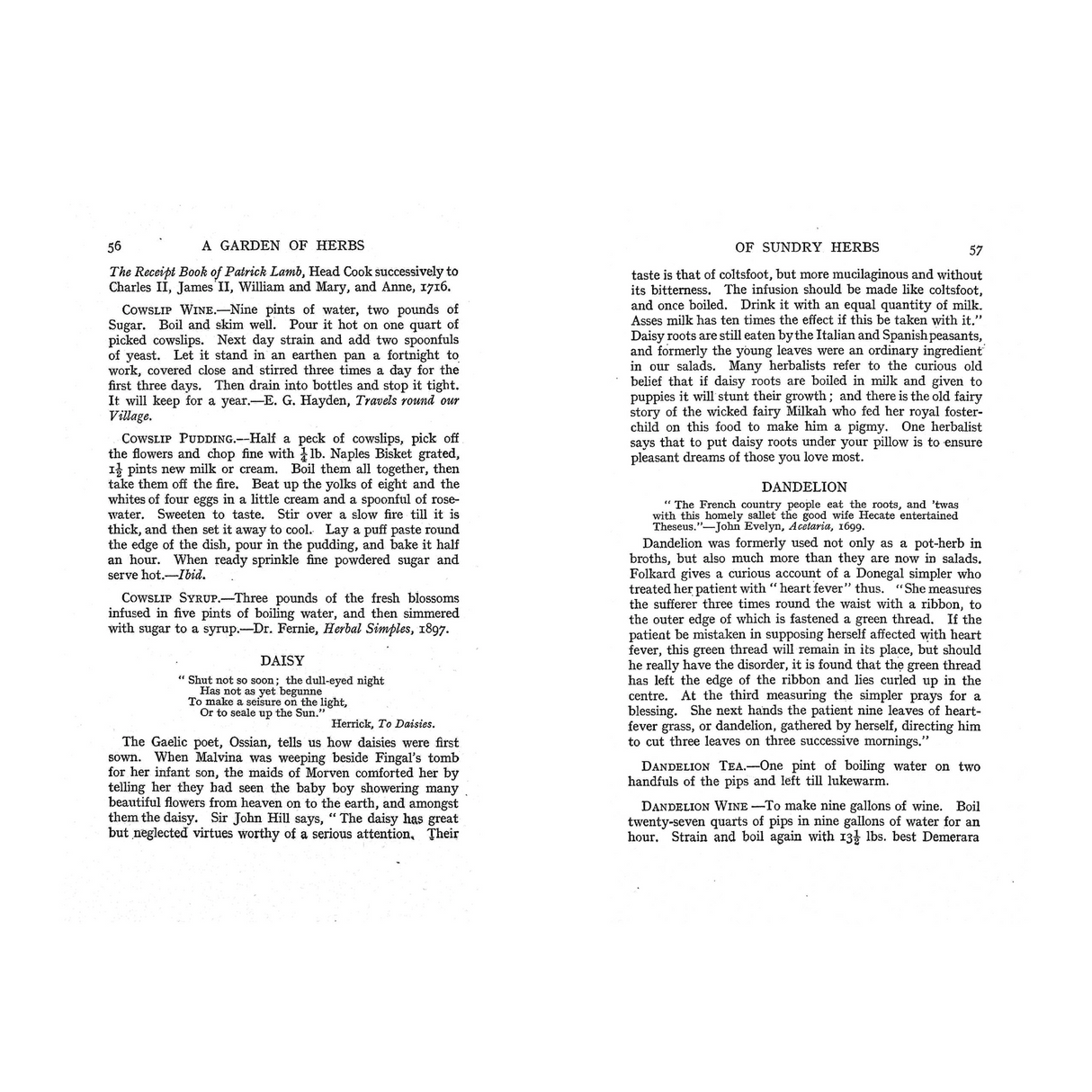 Text page from a book with black text on a white background