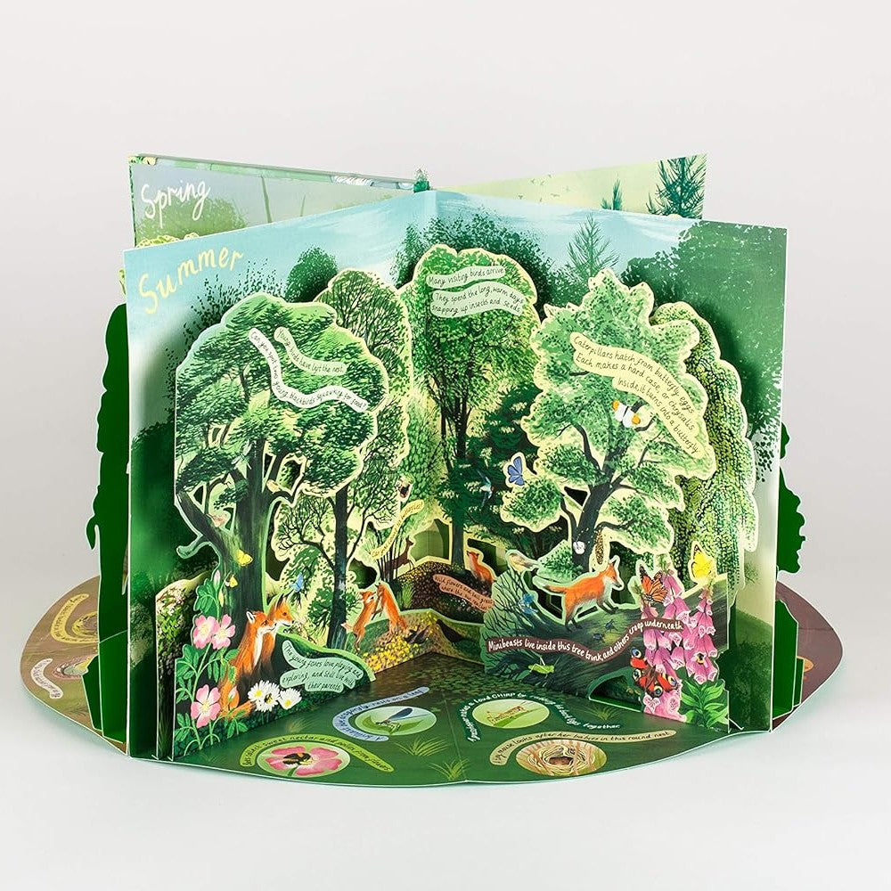 Pop-up card with a summertime forest design and animals on a white background