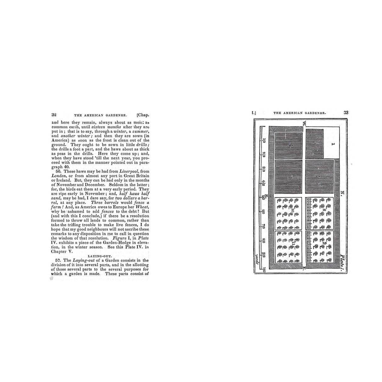 The American Gardener