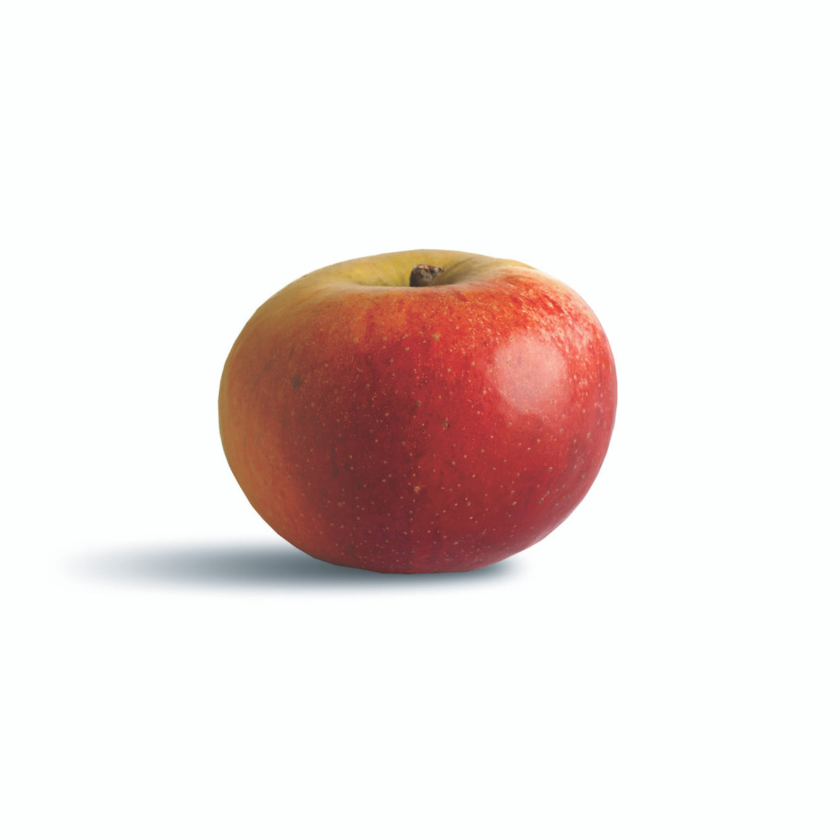 The Apple Lover's Cookbook