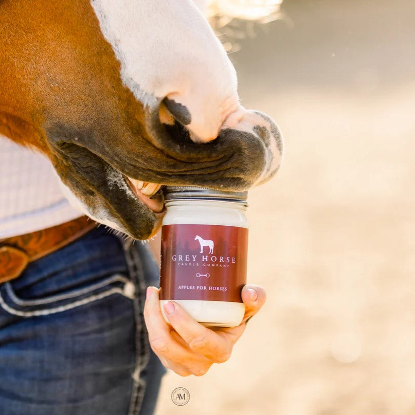 a closeup of a horse's mouth gently nibbling the top of a candle jar that is being held by a horse trainer