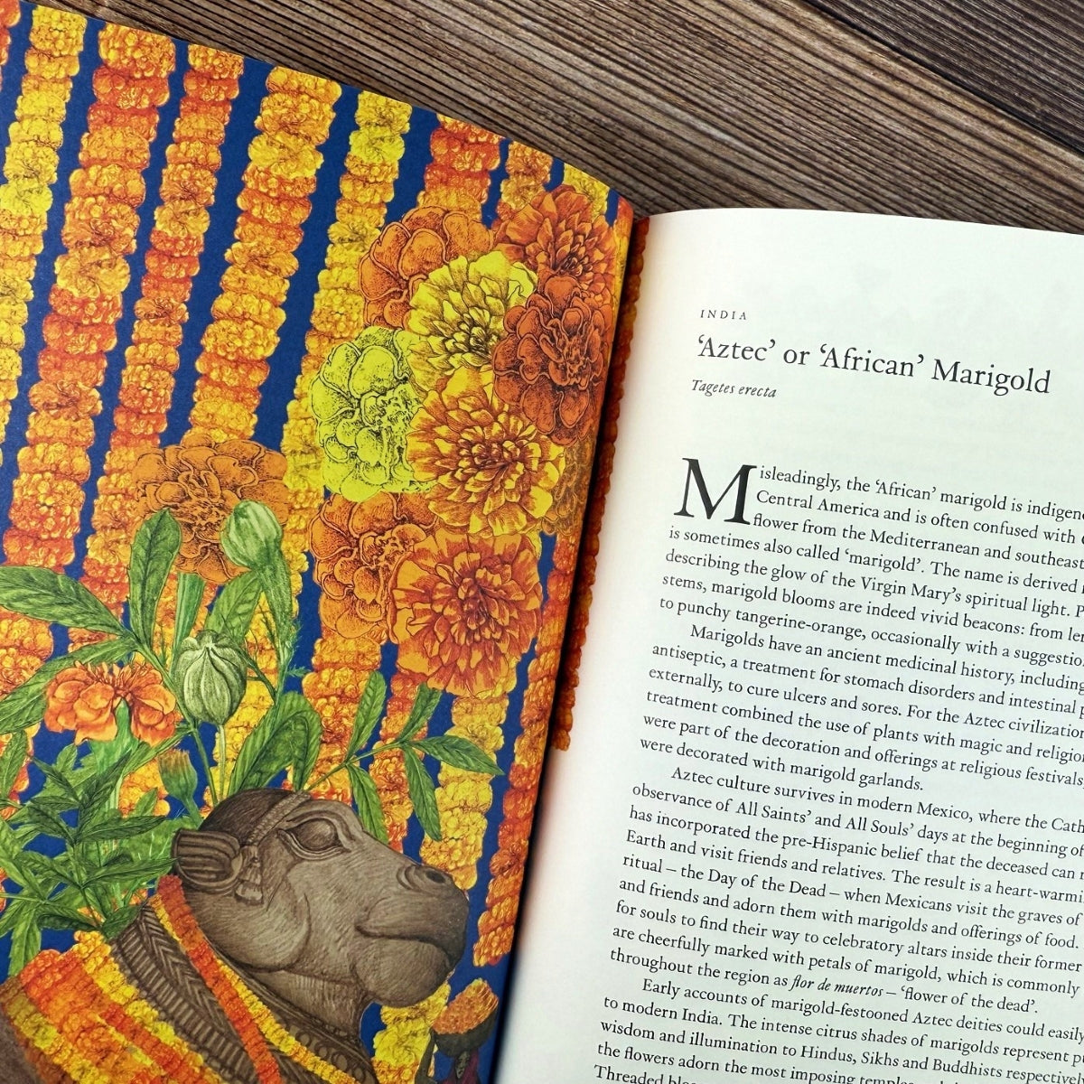 book open to a page titled 'Aztec' or 'African' Marigol with colorful floral illustration on the left page