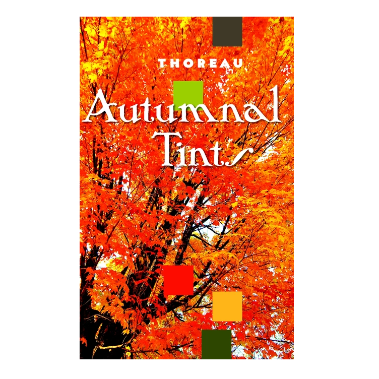 Autumnal Tints
