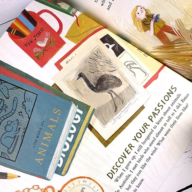 Stack of books with illustrations on a white surface