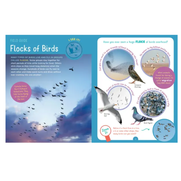 interior page of the book about flocks of birds