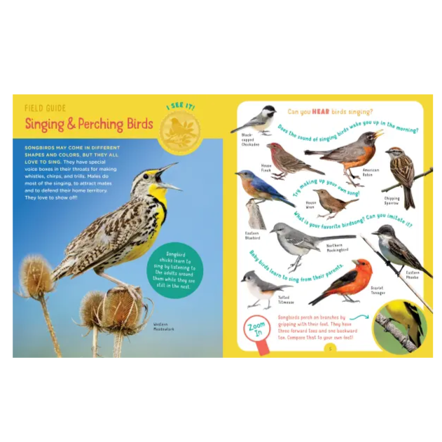 interior page about songbirds with photos of different songbirds