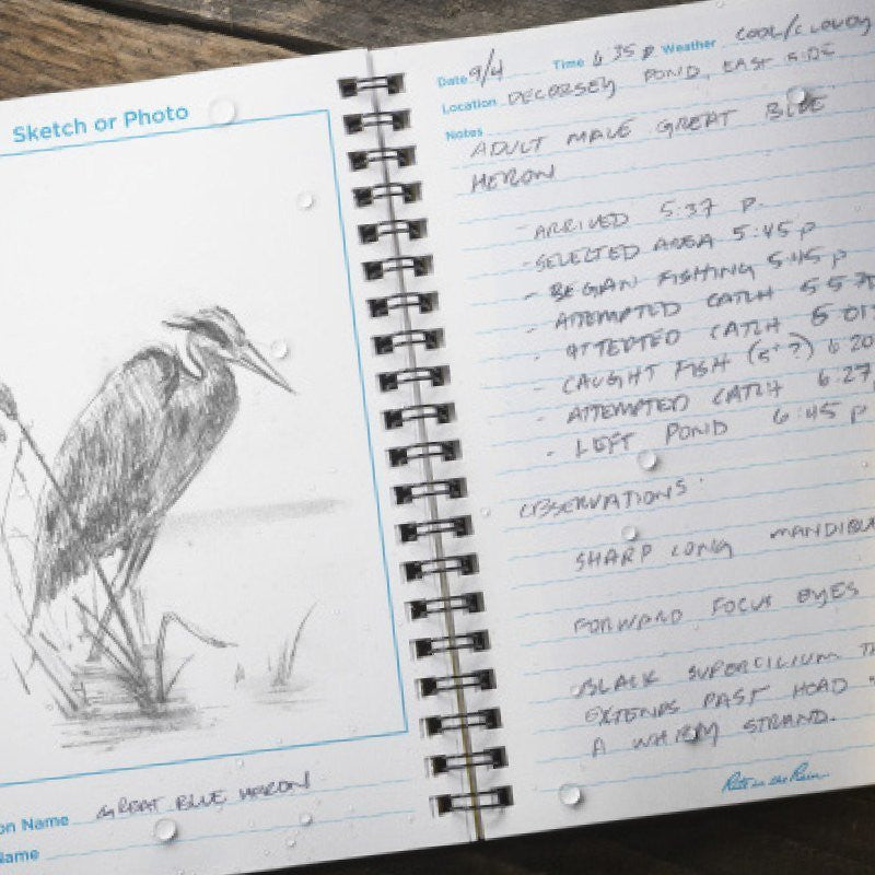 close up of an interior page of the birder's journal filled with notes in pencil alongside a sketch of a bird