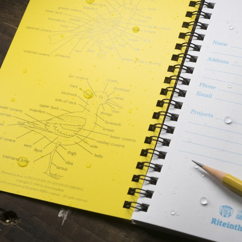 a close up of the interior cover of the birder's journal showing bird body part reference