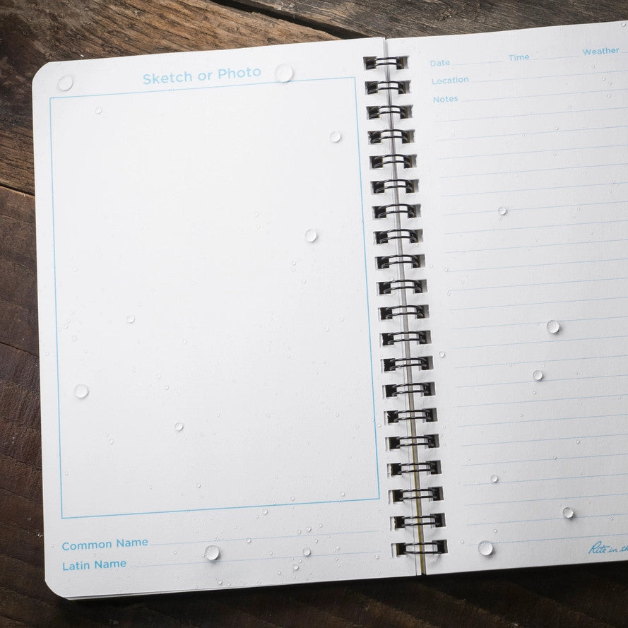 an interior view of the notebook's blank pages for bird sketches and lined pages for bird ntoes